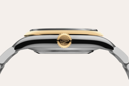 Cartier Santos Chronographe Lunette Noire